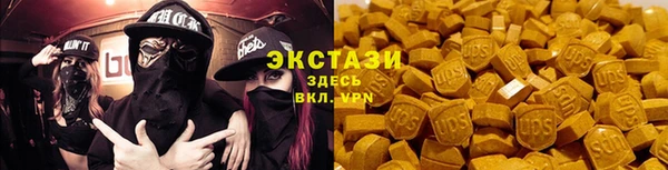 гашик Дмитровск