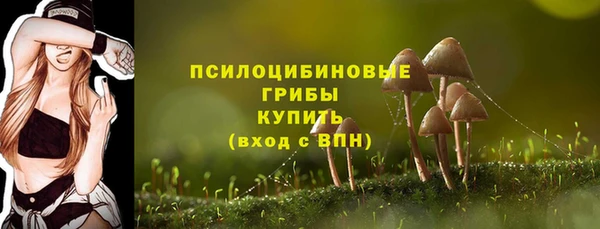 гашик Дмитровск