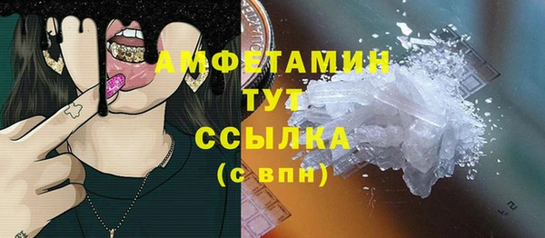 гашик Дмитровск