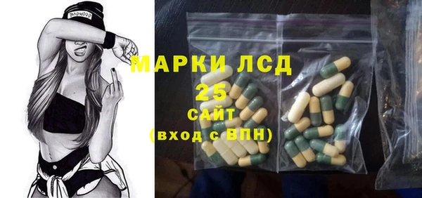 гашик Дмитровск