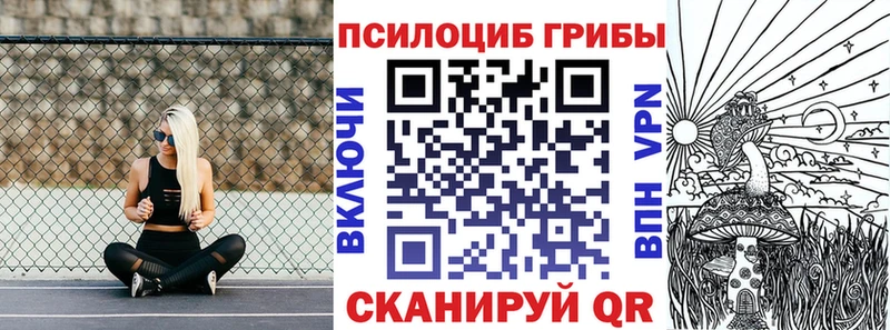 Купить  Славск  Галлюциногенные грибы мухоморы 
